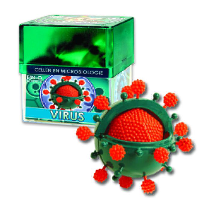 Cellen en Microbiologie - Virus